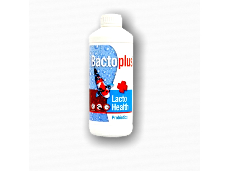 bactoplus lacto health lactic acid probiotic